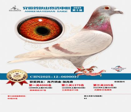 ��������ɽ����205��