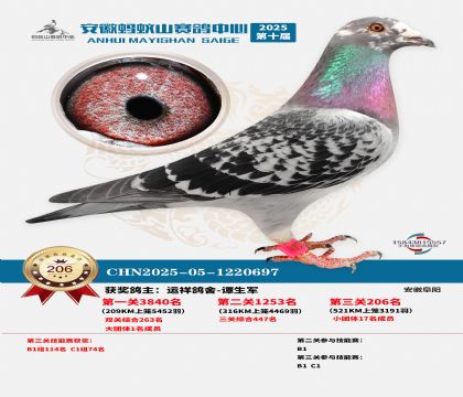 ��������ɽ����206��