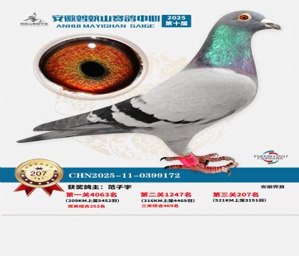 ��������ɽ����207��