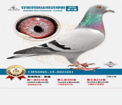 ��������ɽ����210��