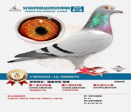 ��������ɽ����211��