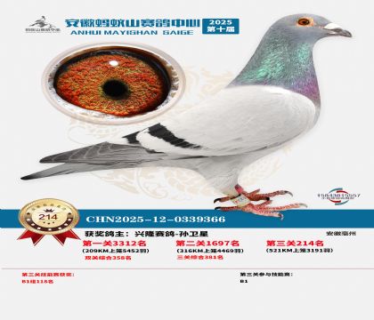 ��������ɽ����214��