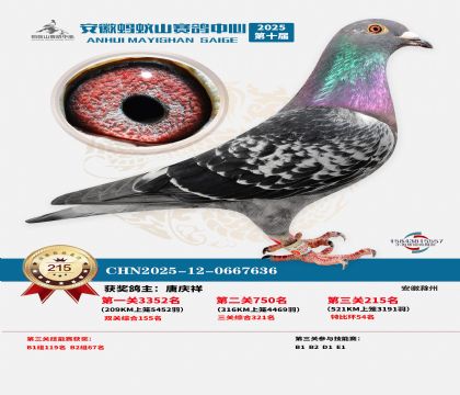 ��������ɽ����215��