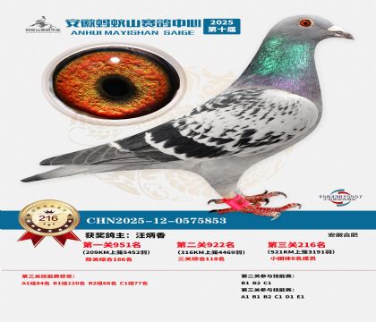 ��������ɽ����216��