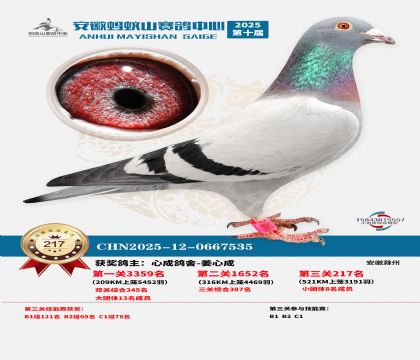 ��������ɽ����217��