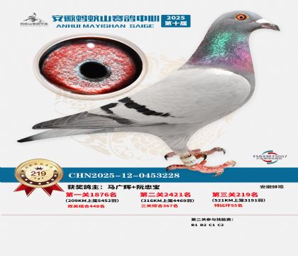 ��������ɽ����219��