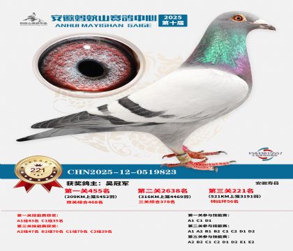 ��������ɽ����221��