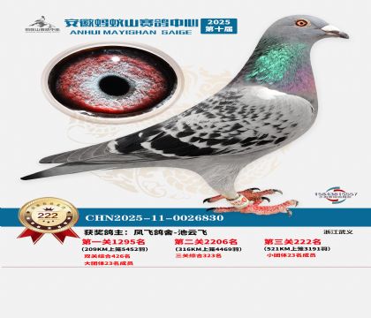 ��������ɽ����222��