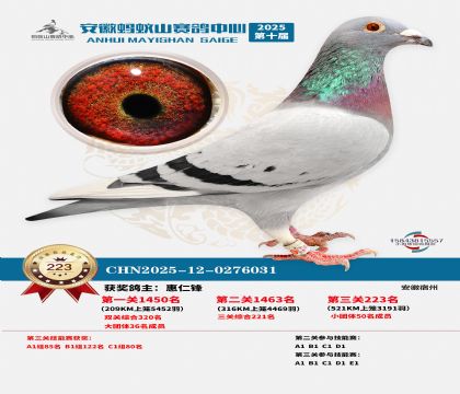 ��������ɽ����223��