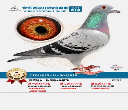 ��������ɽ����224��