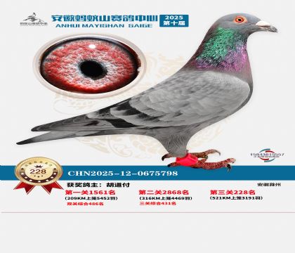 ��������ɽ����228��