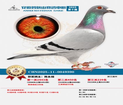 ��������ɽ����229��