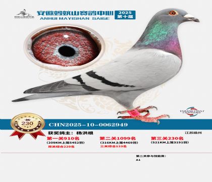 ��������ɽ����230��