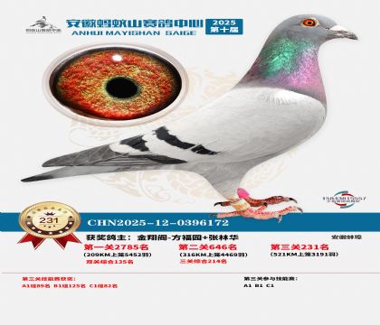 ��������ɽ����231��