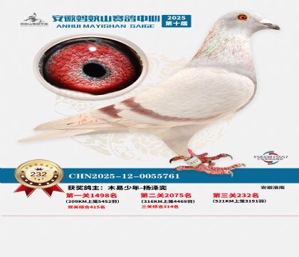 ��������ɽ����232��