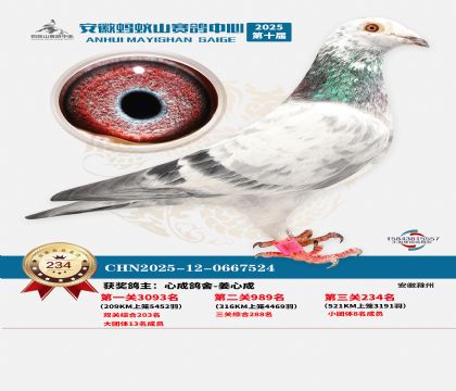 ��������ɽ����234��