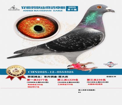 ��������ɽ����236��