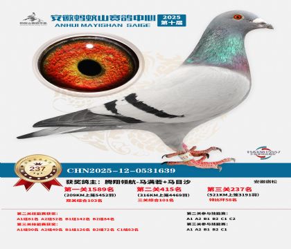 ��������ɽ����237��