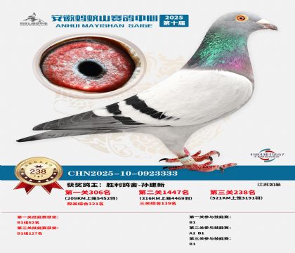 ��������ɽ����238��