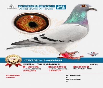 ��������ɽ����239��