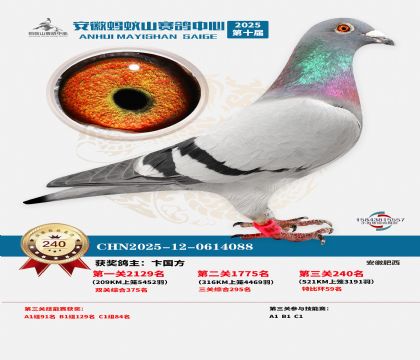 ��������ɽ����240��