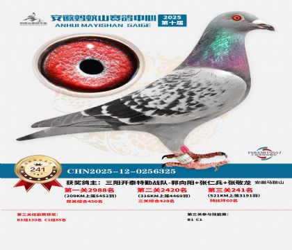 ��������ɽ����241��