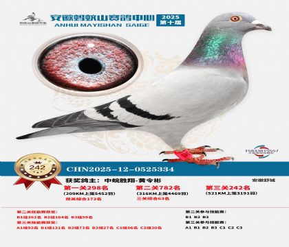 ��������ɽ����242��