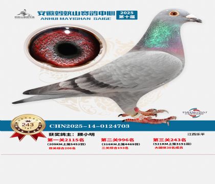 ��������ɽ����243��