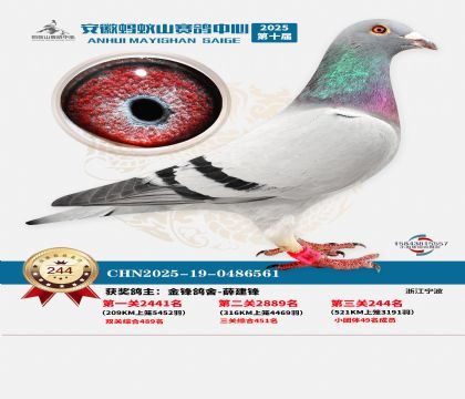 ��������ɽ����244��