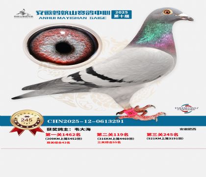 ��������ɽ����245��