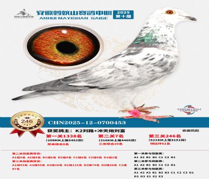 ��������ɽ����246��