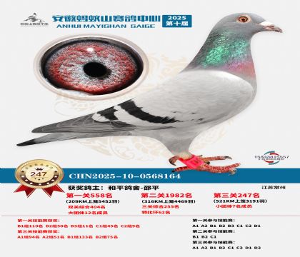 ��������ɽ����247��