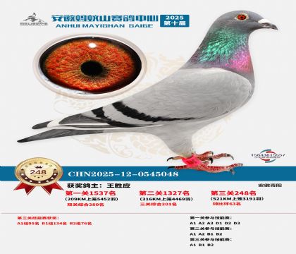 ��������ɽ����248��