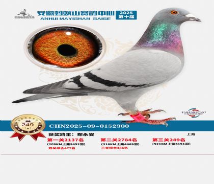 ��������ɽ����249��