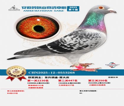 ��������ɽ����250��