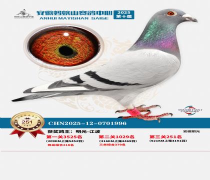 ��������ɽ����251��