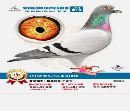 ��������ɽ����252��