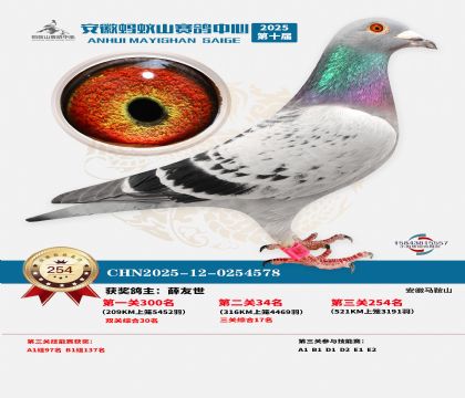 ��������ɽ����254��