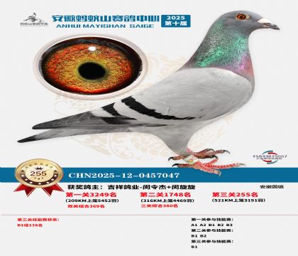 ��������ɽ����255��