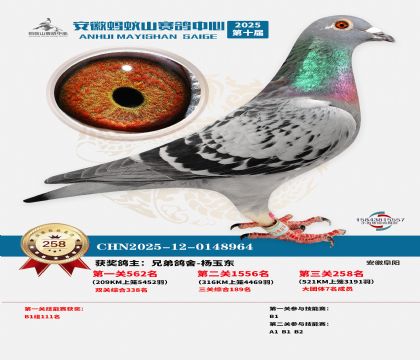 ��������ɽ����258��