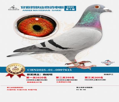 ��������ɽ����260��