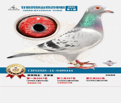 ��������ɽ����262��