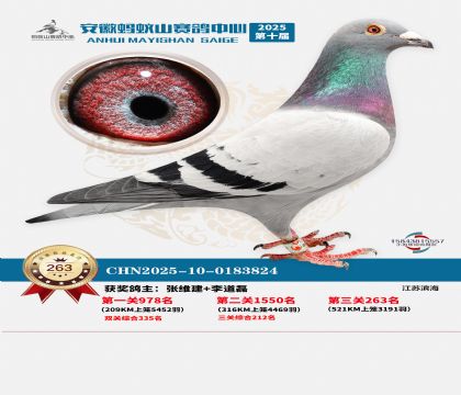 ��������ɽ����263��