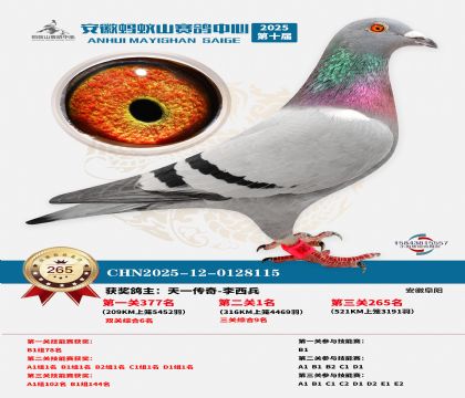 ��������ɽ����265��