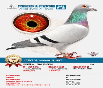 ��������ɽ����266��