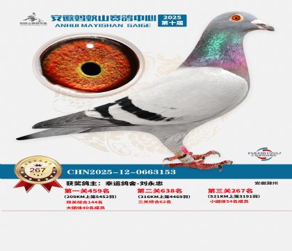 ��������ɽ����267��