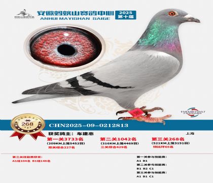 ��������ɽ����268��