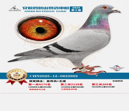 ��������ɽ����269��