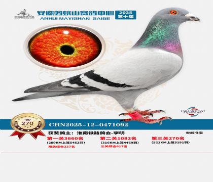 ��������ɽ����270��