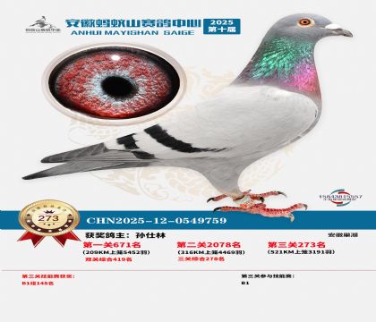 ��������ɽ����273��